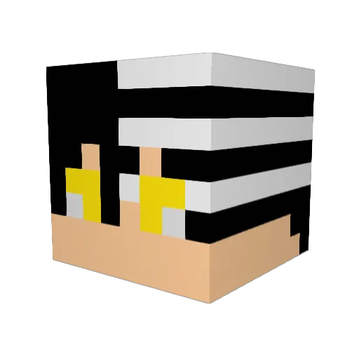 TropicalLlamas Minecraft avatar head, 3D render