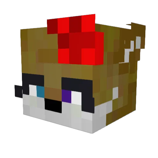 TropicalMitch Minecraft avatar head, 3D render