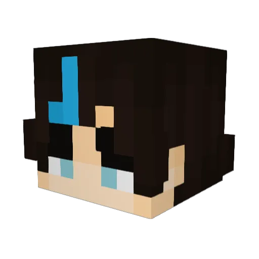 TropicalT Minecraft avatar head, 3D render