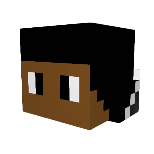 TropicalXtension Minecraft avatar head, 3D render