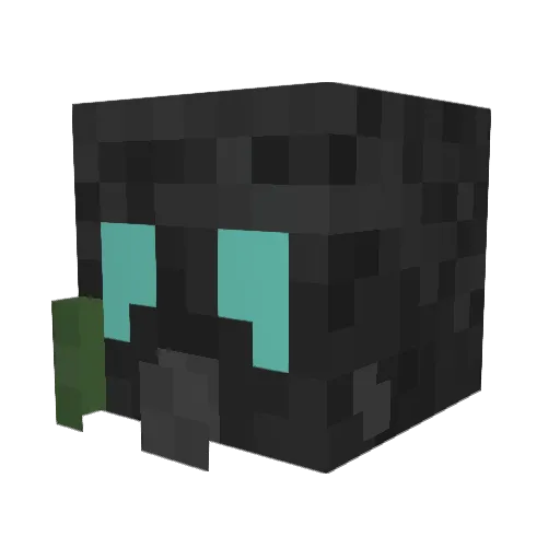 Tropicalizef Minecraft avatar head, 3D render