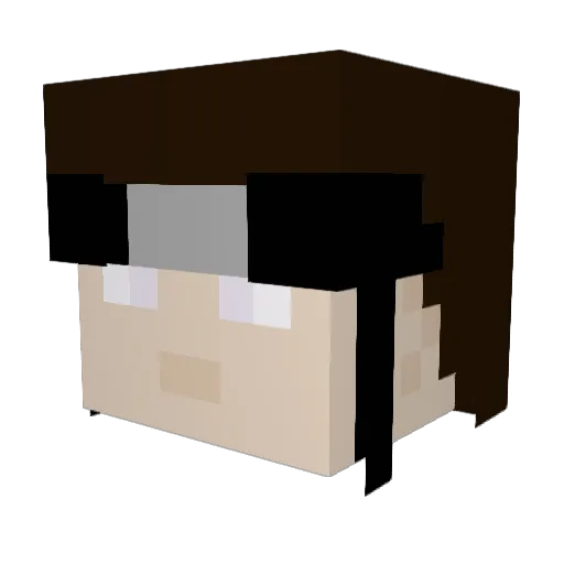 Tropicaljoker22 Minecraft avatar head, 3D render