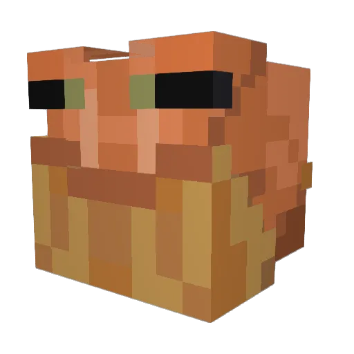 Tropignon Minecraft avatar head, 3D render