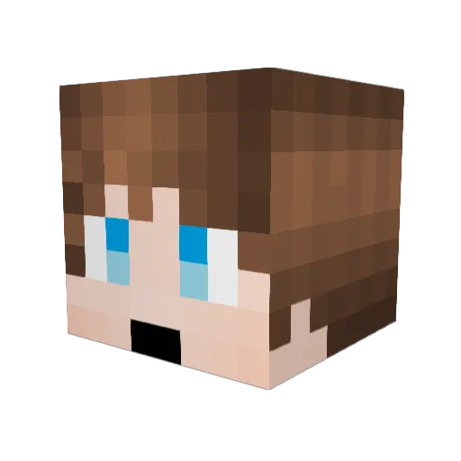 Troppey Minecraft avatar head, 3D render