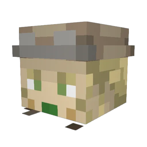 Tropsle Minecraft avatar head, 3D render
