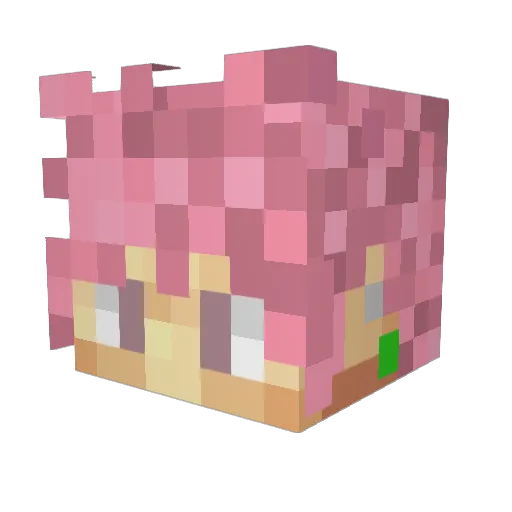 Troptic Minecraft avatar head, 3D render