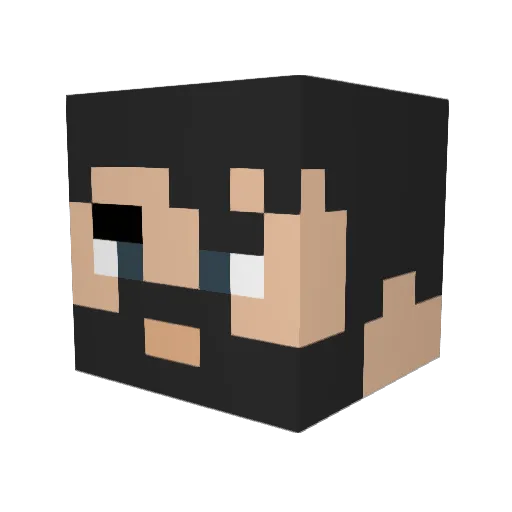Trosty817 Minecraft avatar head, 3D render