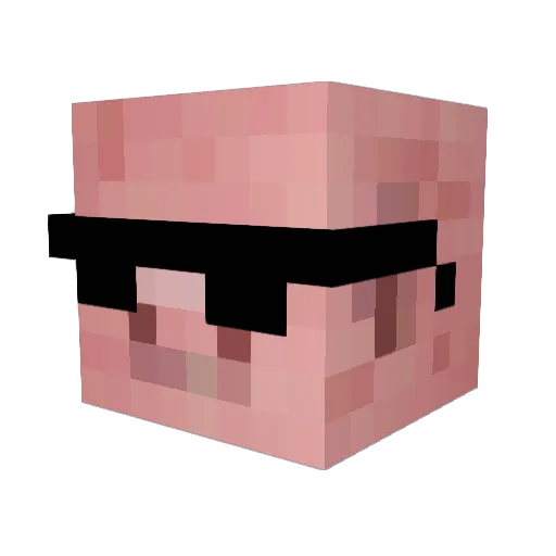 Trottersmc Minecraft avatar head, 3D render