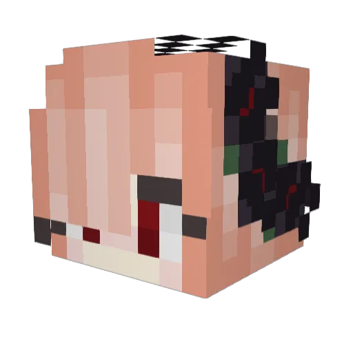 Trotula Minecraft avatar head, 3D render