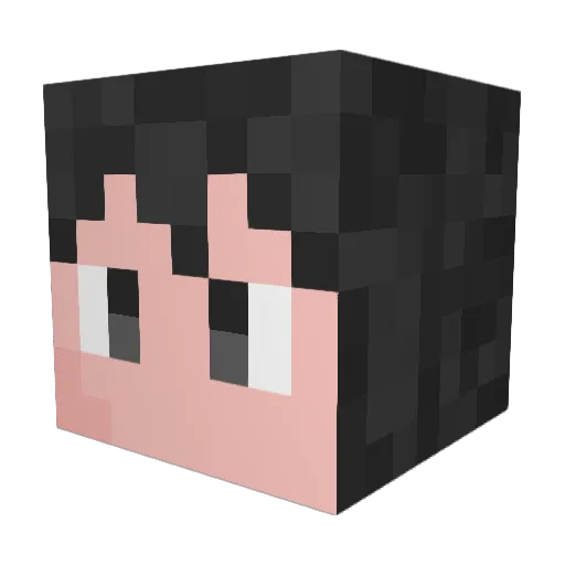 TroubleHc Minecraft avatar head, 3D render