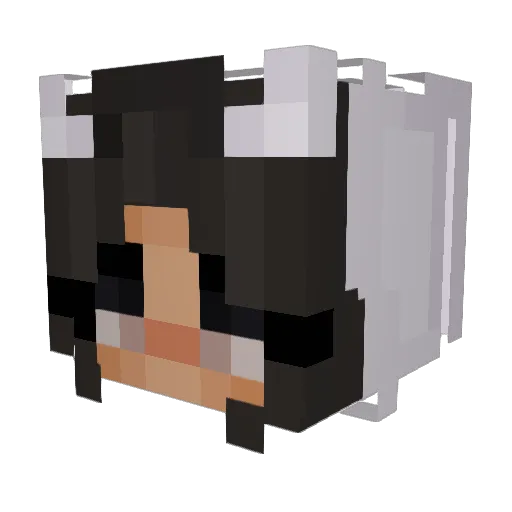 Trouble_08 Minecraft avatar head, 3D render