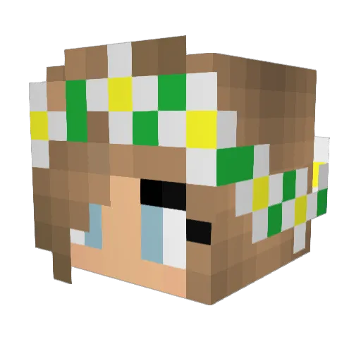 TroubledPrinces Minecraft avatar head, 3D render