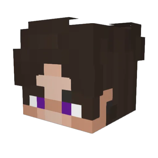 TroubledShuber Minecraft avatar head, 3D render