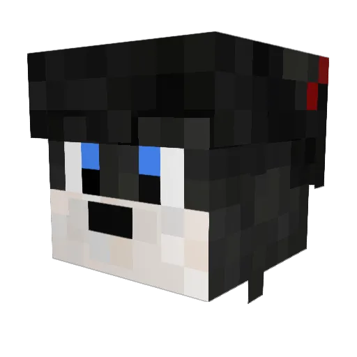 TroubledZoru Minecraft avatar head, 3D render