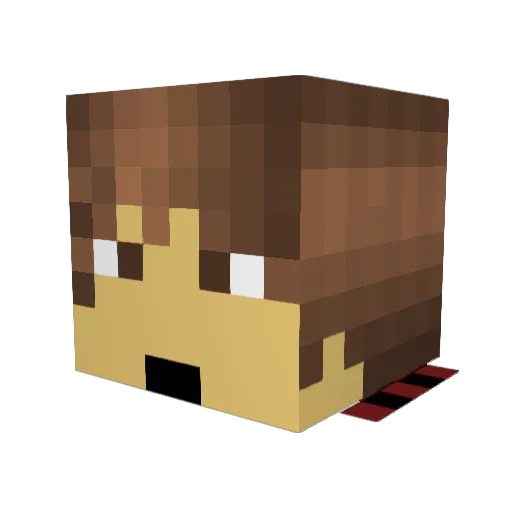 Troublemaker6 Minecraft avatar head, 3D render