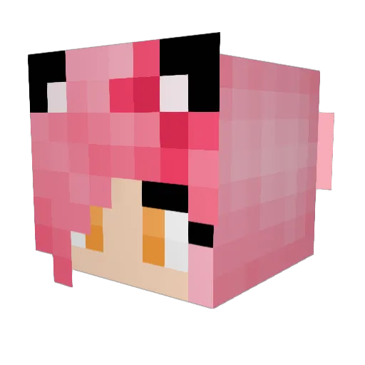 Troublezz Minecraft avatar head, 3D render