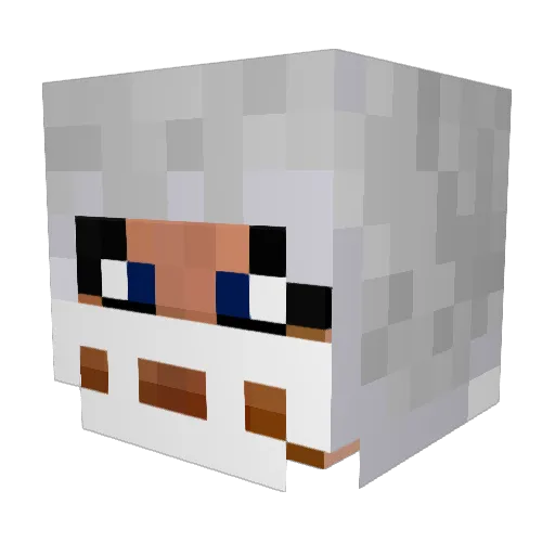 Trout3536 Minecraft avatar head, 3D render