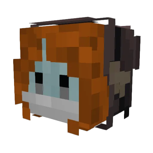 Trout_Reporter Minecraft avatar head, 3D render