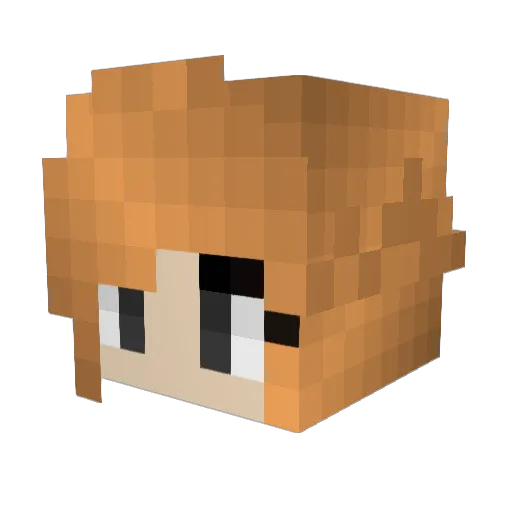 Trow Minecraft avatar head, 3D render
