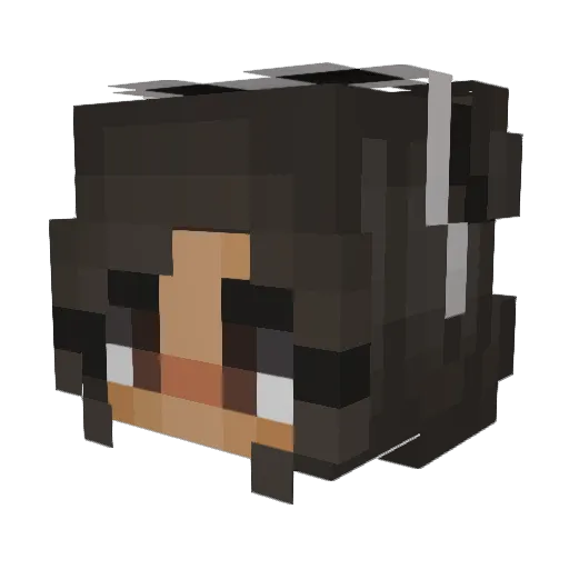 TroxeAlt Minecraft avatar head, 3D render
