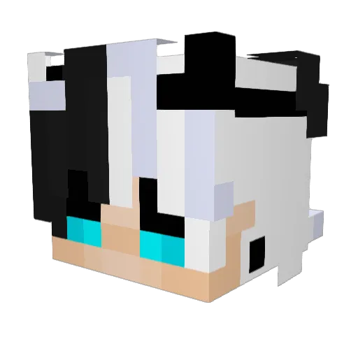 Troy0 Minecraft avatar head, 3D render