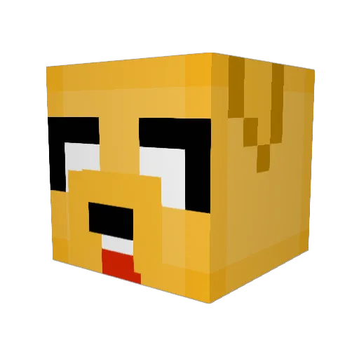 TroyBoy9081 Minecraft avatar head, 3D render