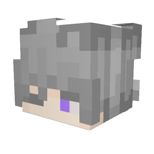 Trqxs_ Minecraft avatar head, 3D render