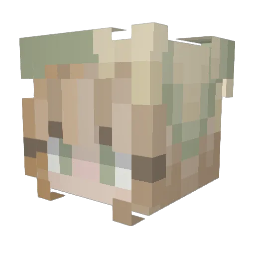 TrrashPannda Minecraft avatar head, 3D render