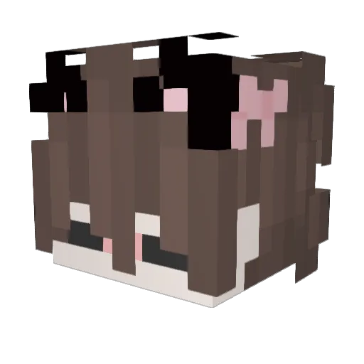 Trrax_ Minecraft avatar head, 3D render