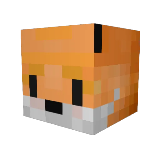 Trswimmer93 Minecraft avatar head, 3D render