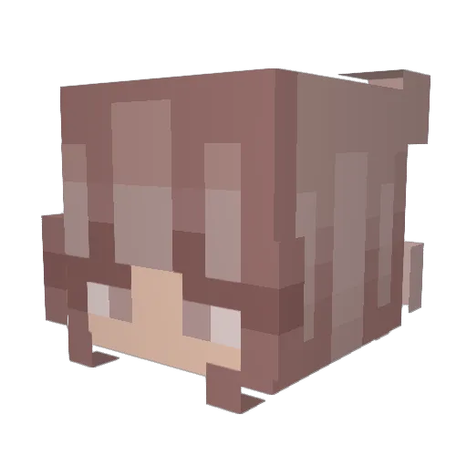 Tru6y Minecraft avatar head, 3D render