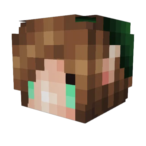 TruDLou Minecraft avatar head, 3D render