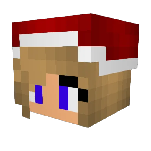 TruMatrix Minecraft avatar head, 3D render