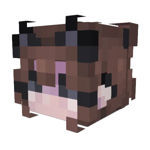 TruStove Minecraft avatar head, 3D render