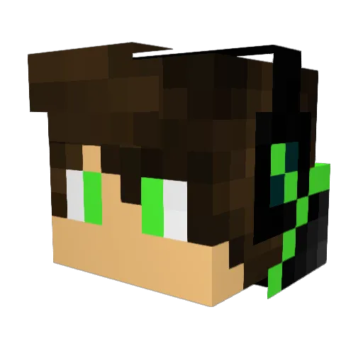 TruTru2011 Minecraft avatar head, 3D render