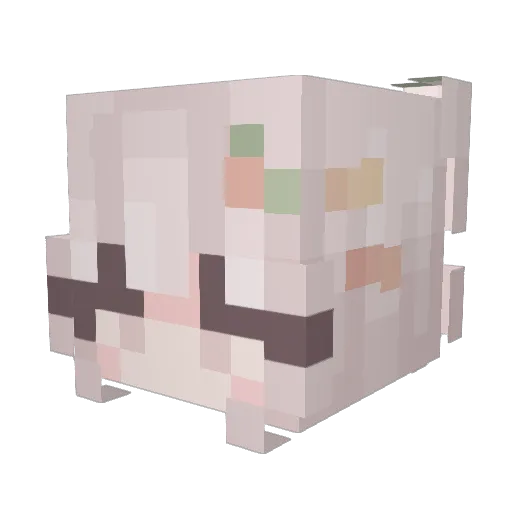 Trubel Minecraft avatar head, 3D render