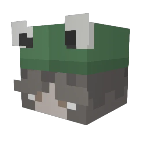 Trubie74 Minecraft avatar head, 3D render