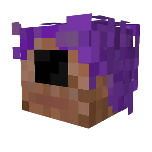 Truci_Messorem67 Minecraft avatar head, 3D render