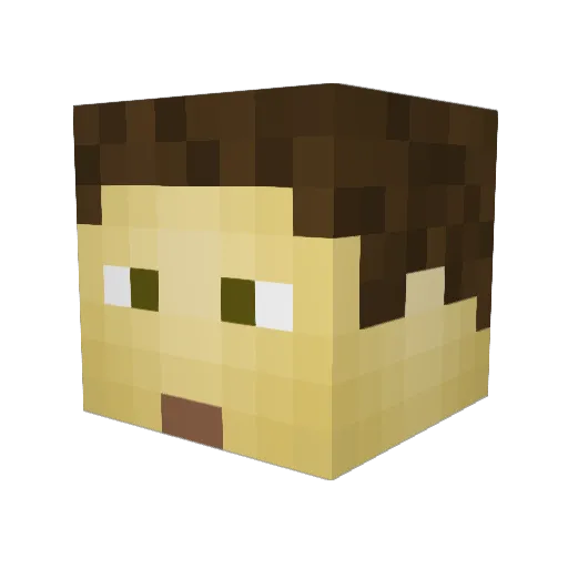 Truckdriver_Dan Minecraft avatar head, 3D render