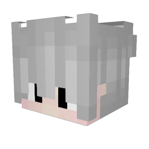 Truckeey Minecraft avatar head, 3D render