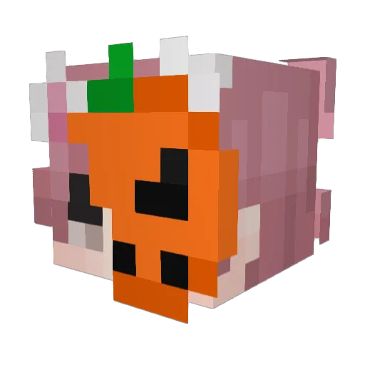 TrudiXiaQ Minecraft avatar head, 3D render