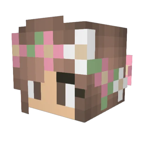 True012 Minecraft avatar head, 3D render