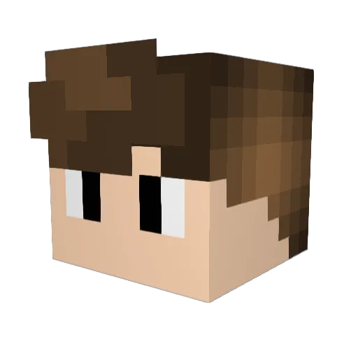 TrueBlaziken Minecraft avatar head, 3D render