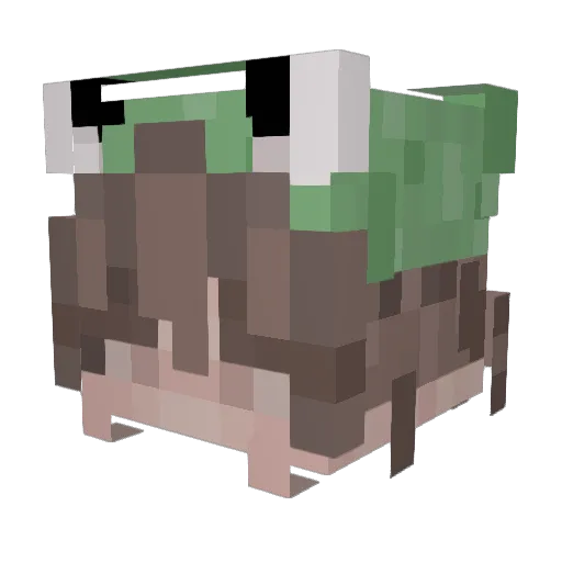 TrueChaos69420 Minecraft avatar head, 3D render