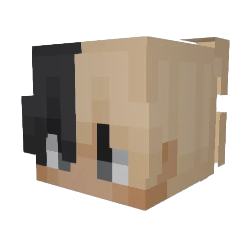 TrueDraco Minecraft avatar head, 3D render