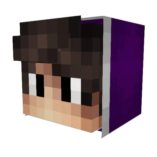 TrueFX Minecraft avatar head, 3D render