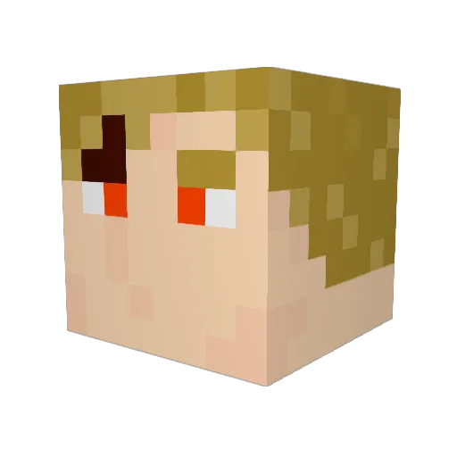 TrueFren55 Minecraft avatar head, 3D render