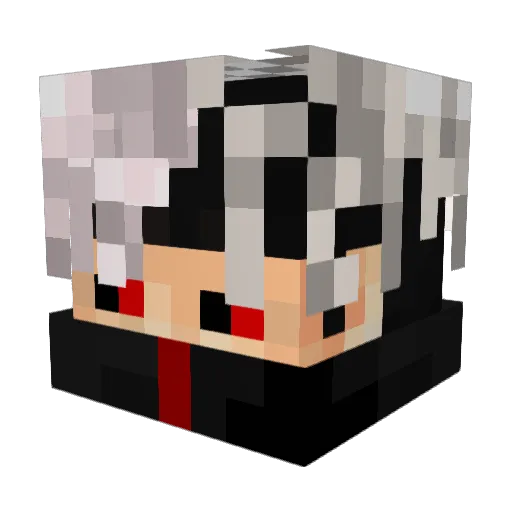 TrueGamer696 Minecraft avatar head, 3D render