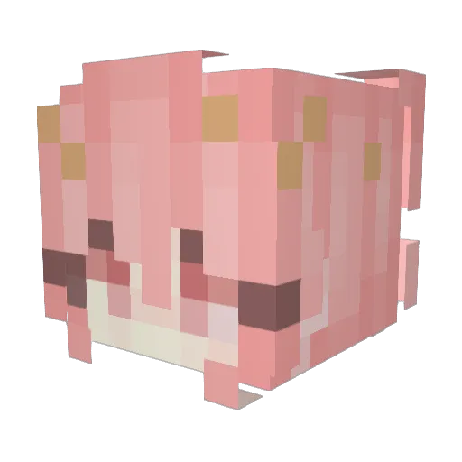 TrueKalopsia Minecraft avatar head, 3D render