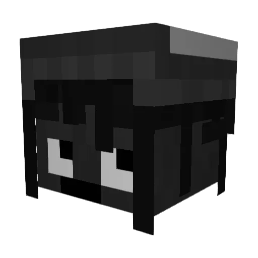 TrueLt5 Minecraft avatar head, 3D render